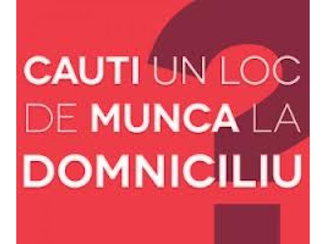 Activitate din care se asigură venituri suplimentare